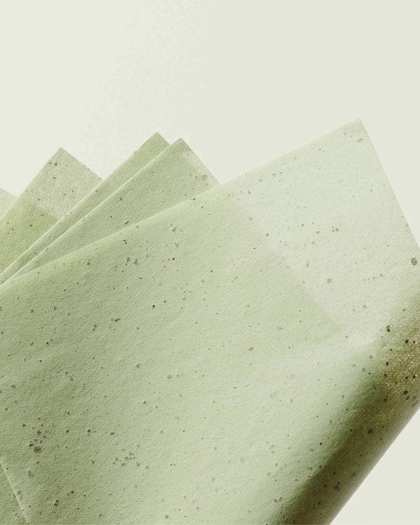 papel de control de aceite de té verde